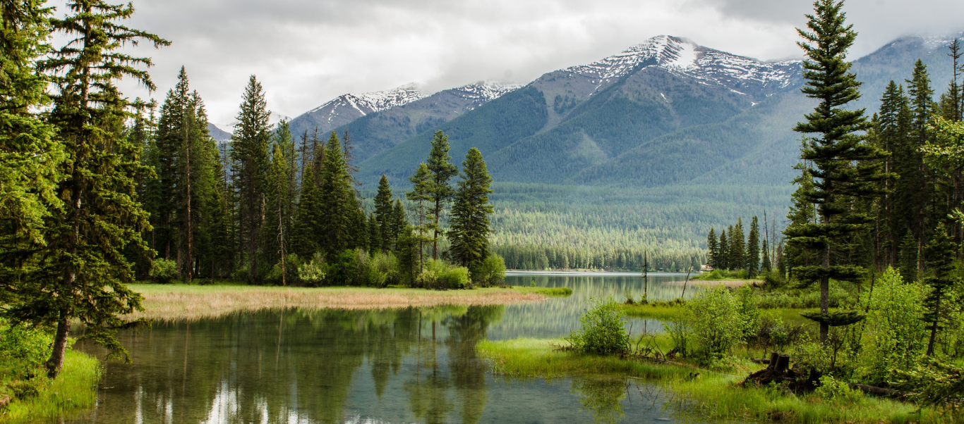 St. John in the Wilderness Church in Dharamshala, surrounded by pine trees, a highlight of the tour.