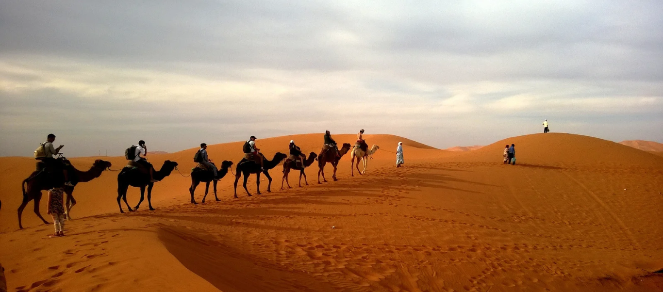 A line of camels with riders trekking across the vast, golden sand dunes of the Thar Desert in Jaisalmer under a soft evening sky.